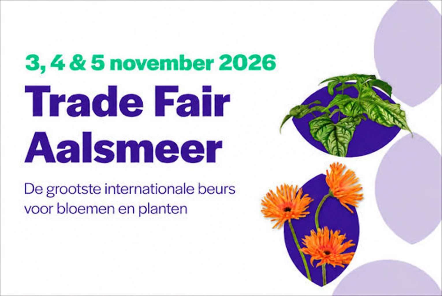 Park Amaryllis at Trade Fair Aalsmeer 2026